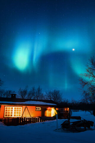 Aurora Dreams: A Night Under the Northern Lights 🌌✨