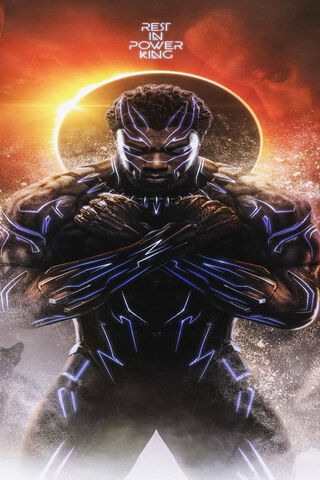 Legacy of a King: Remembering Chadwick Boseman 🌟👑