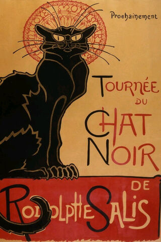 Chat Noir