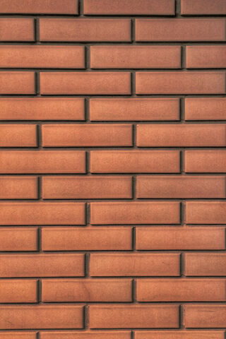 Sweet Foundations: The Chocolate Brick Wall 🍫🏗️