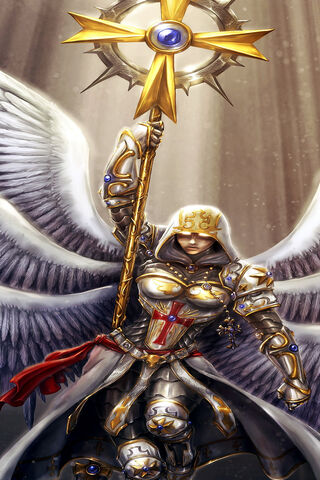 Crusader Mage