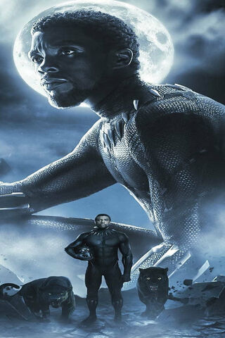 The Legacy of a King: Chadwick Boseman as Black Panther 🌟