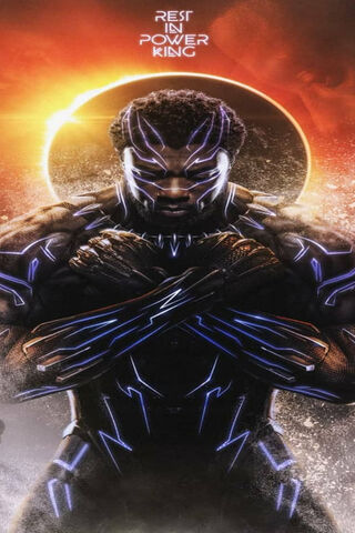 Legacy of a King: A Tribute to Chadwick Boseman 🌟👑