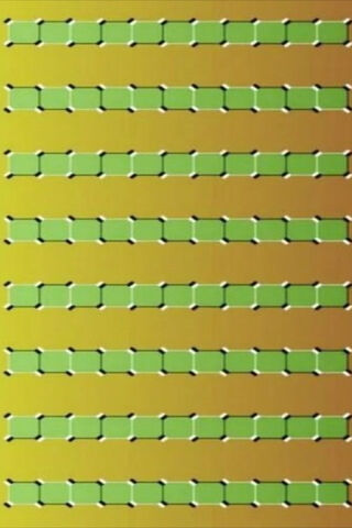 Illusions of Green: A Mind-Bending Experience 🌿✨