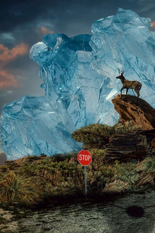 Majestic Standoff: Nature Meets Ice