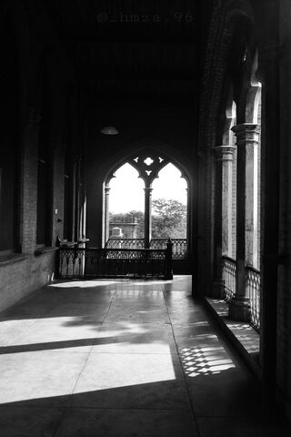 Shadows of Serenity 🌑✨