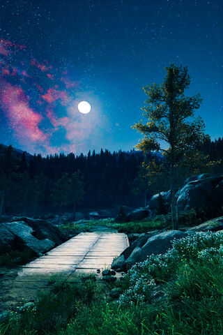 Moonlit Pathway: A Journey Awaits 🌌🌙