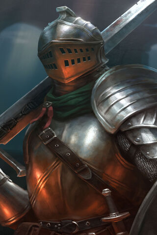 The Hollow Knight's Resolve ⚔️