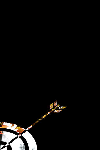 Aim for the Bullseye! 🎯