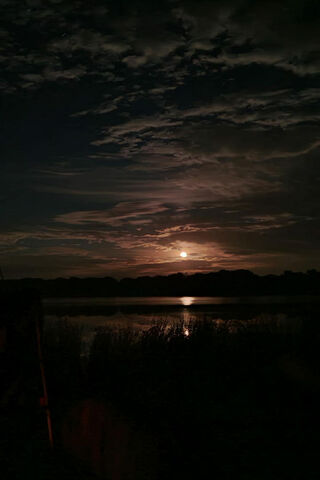 Twilight Reflections 🌅✨