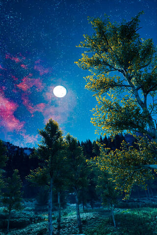 Whispers of the Night: A Journey Beyond