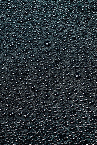 Dewy Delights: Nature's Tiny Gems 🌧️✨