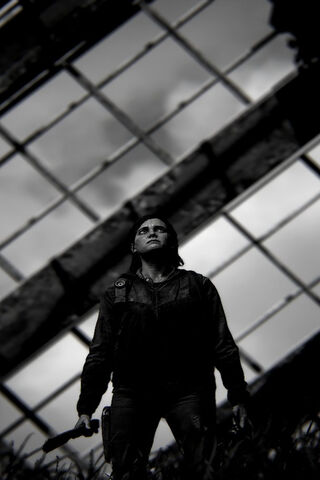 Ellie's Resolve: A Journey Through Shadows