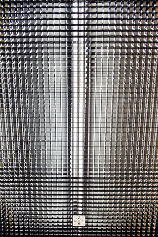 Elevator Vibes: A Journey Upwards 🚀