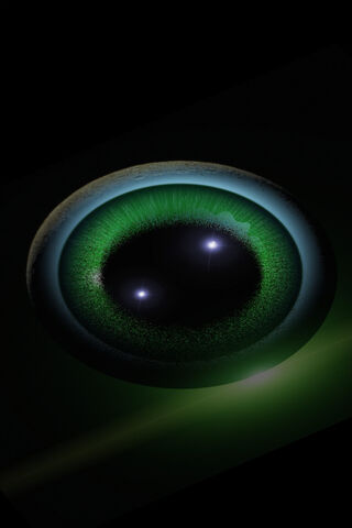 Mystical Gaze: The Enchanted Eye 👁️✨