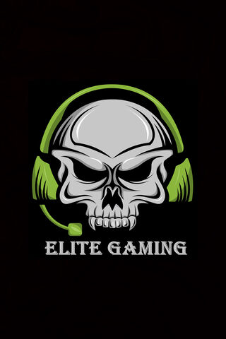 Level Up Your Game with Elite Gaming! 🎮💀