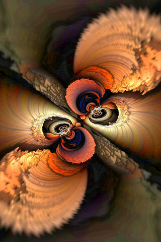 Whirls of Infinity: The Fractal Journey