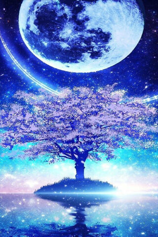 Enchanted Moonlit Oasis 🌙✨