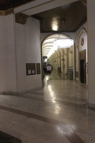 Elegant Passageway of Dreams ✨