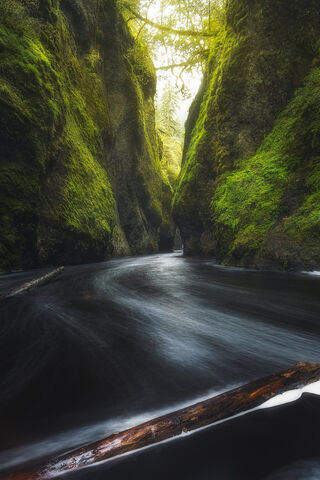 Whispers of the Green Canyon 🌿✨