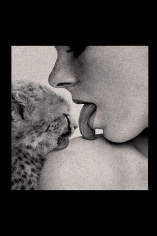 Grey Connection: A Unique Bond