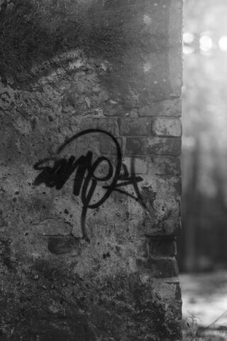 Urban Expression: The Art of Graff 🎨