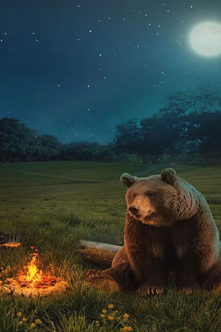 Cozy Campfire Nights