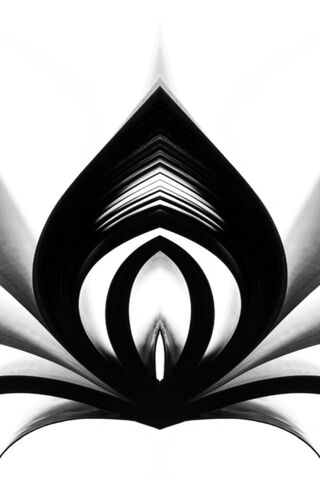 Elegant Shadows: The Art of Modern Black
