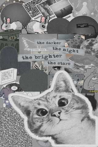 Whimsical Shadows: A Grey Aesthetic Journey 🌌✨