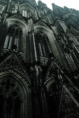 Majestic Shadows of the Gothic Cathedral