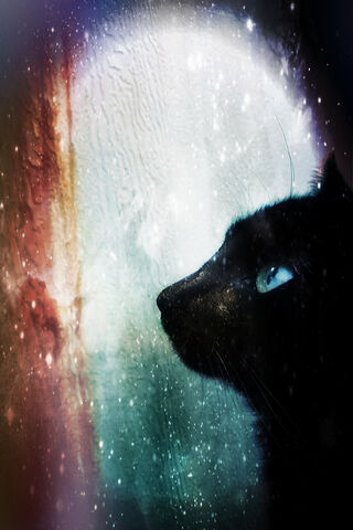 Cosmic Whiskers: A Journey Through the Stars 🌌🐾
