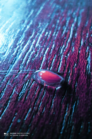 Gamsnaiper: The Art of Precision in Nature 🎯💧