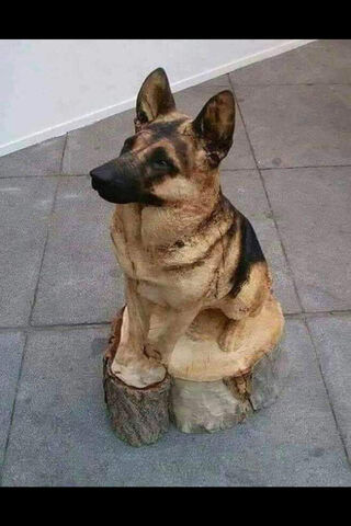 German Shepherd Wood