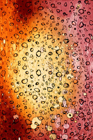 Rainbow Drops: Nature's Artistry 🌈💧