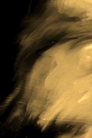 Golden Whispers: A Dance of Light and Shadow