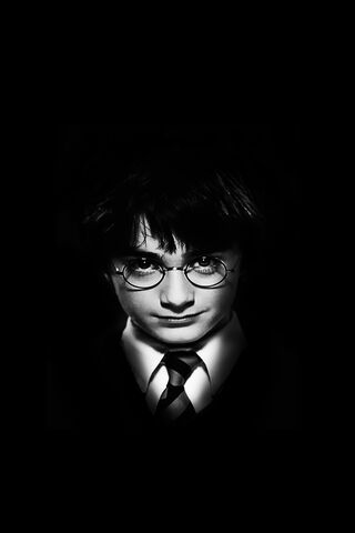 The Boy Who Lived 🌟