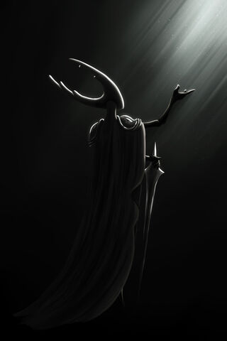 Embrace of the Radiant Void 🌌✨