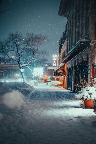 Iarna: A Winter Wonderland