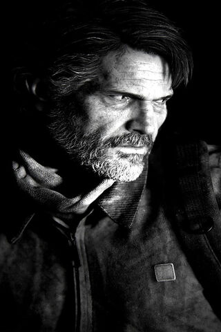 Survivor's Grit: Joel from TLOU Part 2