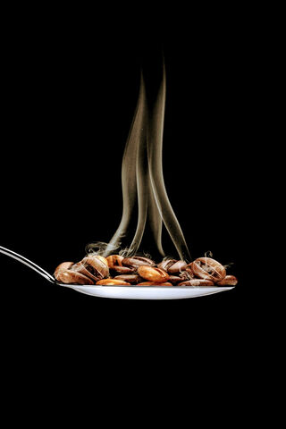 Aromatic Essence of Kahve ☕✨