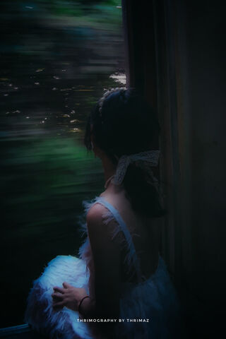 Whispers of Korean Beauty: A Journey Through Nature 🌿✨