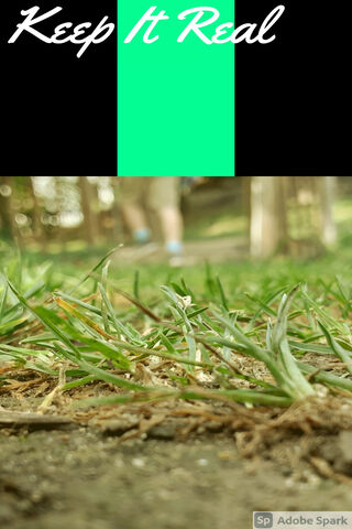 Nature's Truth: Grounded in Reality 🌱