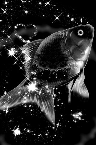 Galactic K-Scope: The Starry Fish
