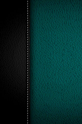 Textures of Elegance: The Leather Collection