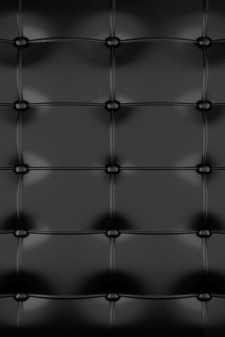 Sleek Elegance: The Allure of Leather