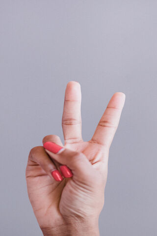Peace and Love Gesture ✌️❤️
