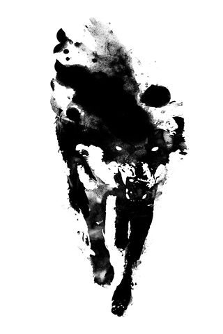 Lobo: The Spirit of the Wild
