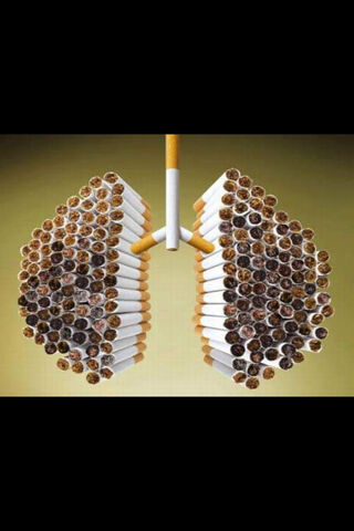 The Cost of Smoking: A Visual Warning 🚭