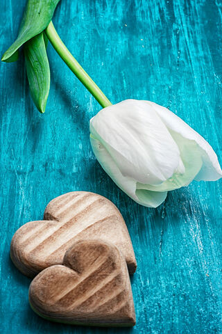 Whispers of Affection