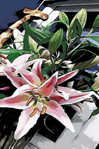 Lily Dreams: A Floral Symphony 🌸✨